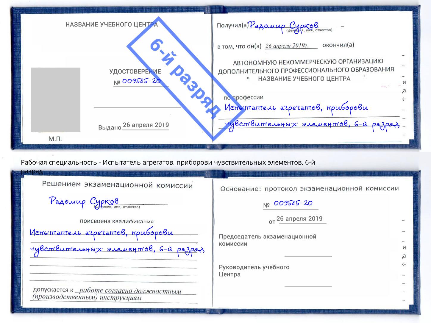 корочка 6-й разряд Испытатель агрегатов, приборови чувствительных элементов Прокопьевск