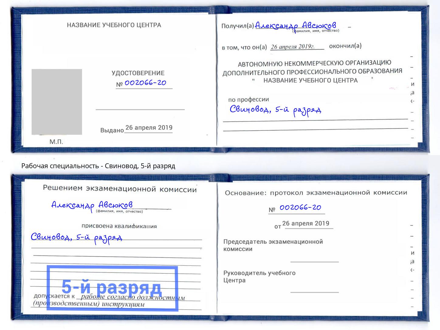 корочка 5-й разряд Свиновод Прокопьевск