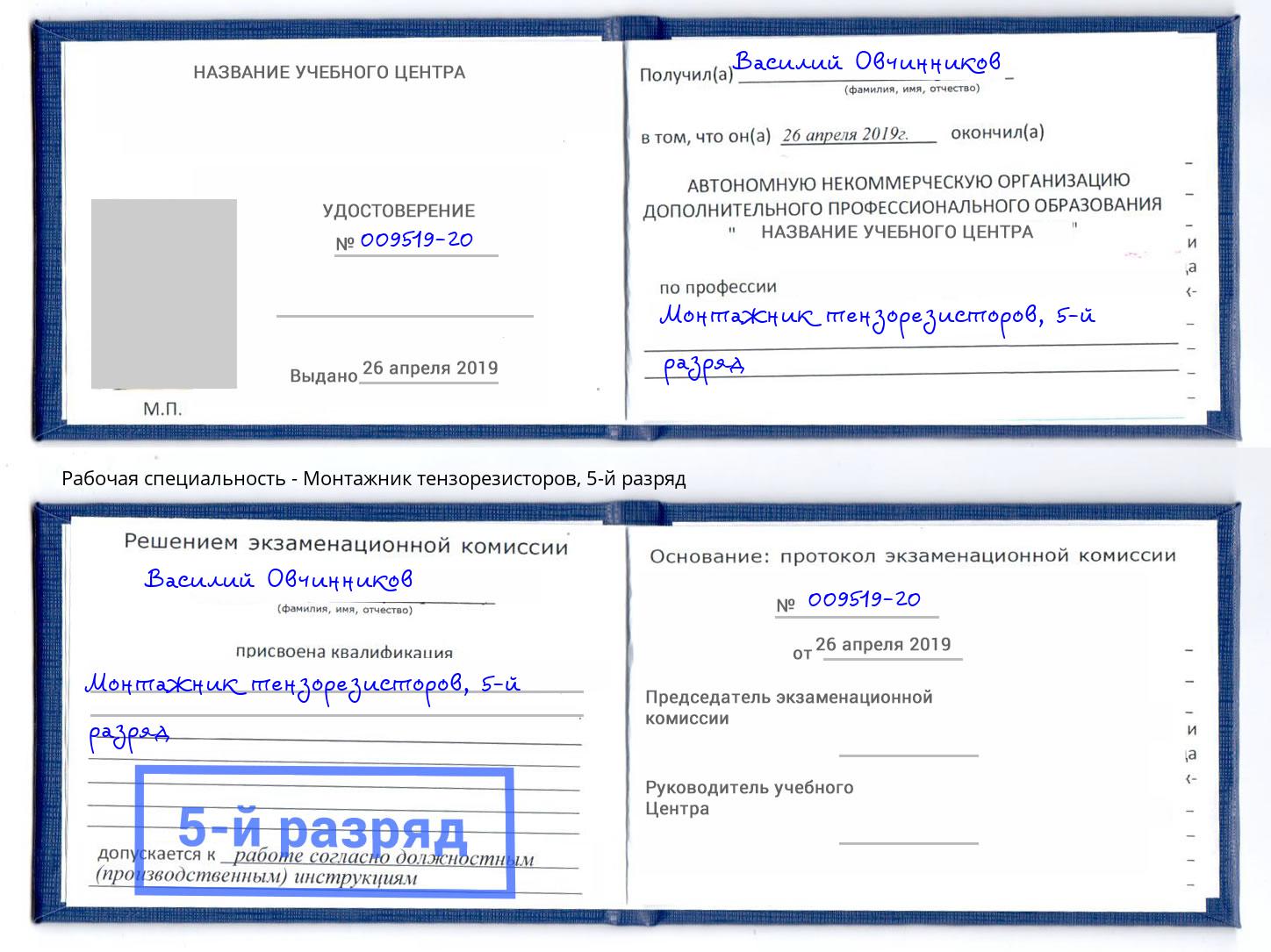 корочка 5-й разряд Монтажник тензорезисторов Прокопьевск